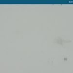Wetter Kleinwalsertal Hahnenköpfle am 28.01.2020