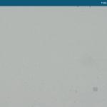 Wetter Kleinwalsertal Hahnenköpfle am 11.02.2020
